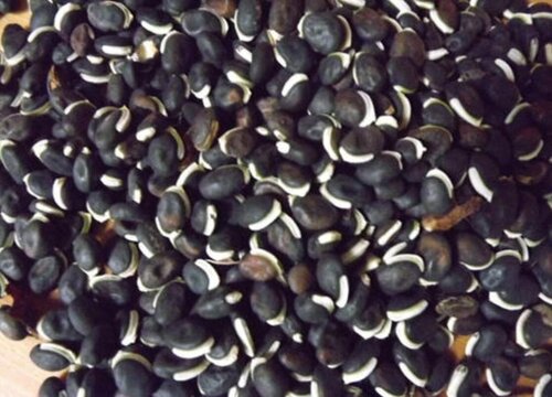扁豆种子怎么吃法