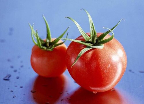 番茄是水果还是蔬菜