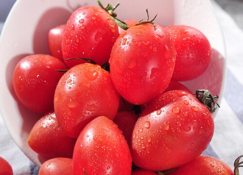 小西红柿是水果还是蔬菜