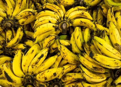 香蕉可以冷冻保存吗