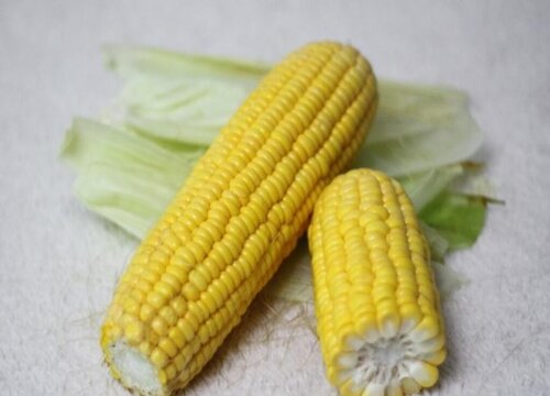 小玉米可以生吃吗