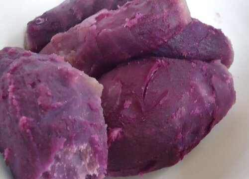 宠物狗狗可以吃紫薯吗