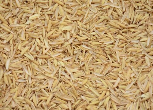 稻谷壳可以做肥料吗