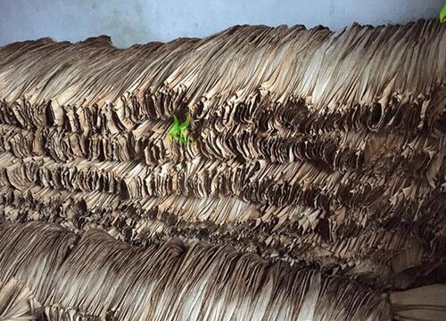 竹笋皮可以做肥料吗