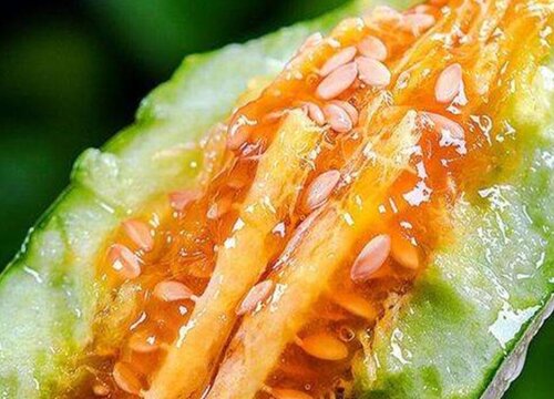 羊角蜜瓜怎么留种子 留种子方法