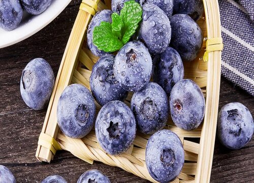 蓝莓几月份成熟上市