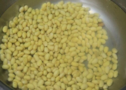 煮黄豆的水可以直接浇花吗 浇花用的黄豆水制作方法