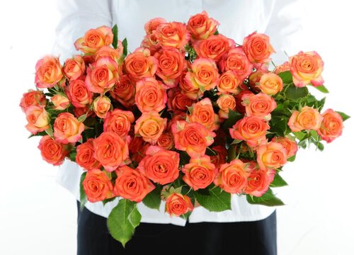 橙色玫瑰花代表的含义（橙玫瑰花语象征与寓意）