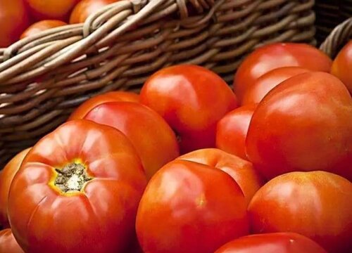 番茄是水果吗 是水果类还是蔬菜类