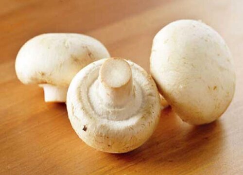 口蘑可以生吃吗