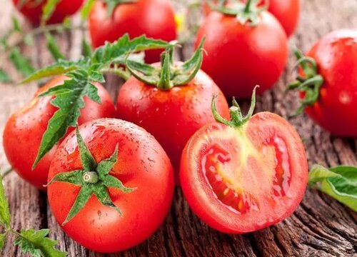 西红柿和番茄的区别图