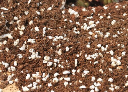 自制营养土的配制方法（超简单的种花营养土制作方法）