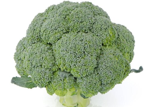 十字花科蔬菜有哪些菜 常见的十字花科蔬菜品种