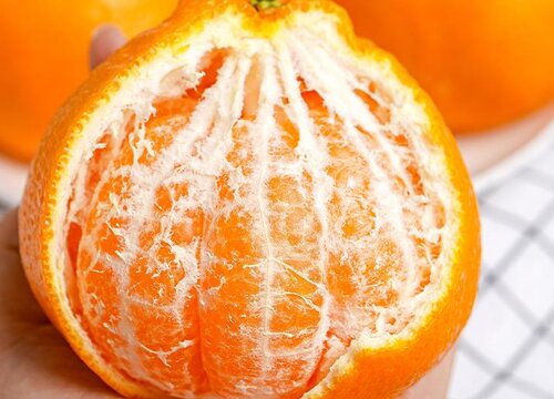 最好吃的橘子品种排名（目前最好吃的4个有名柑橘品种）