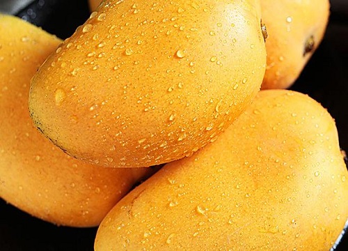 芒果怎么催熟最快方法 怎样使芒果快速变熟