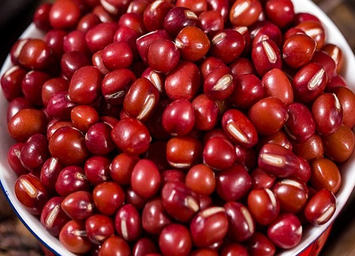 东北最高产红小豆品种子 红小豆哪个品种产量高