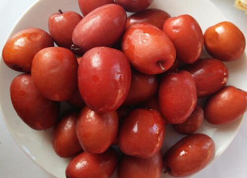 鲜红枣的功效与作用及食用方法