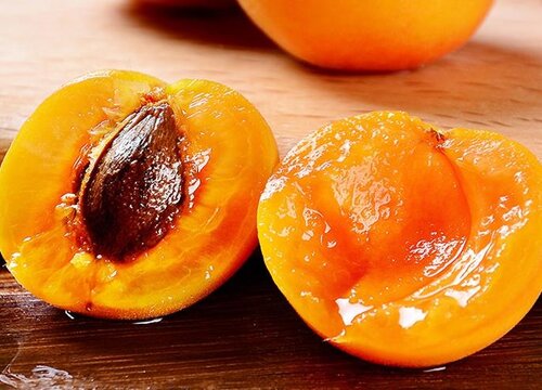 杏子是热带水果吗