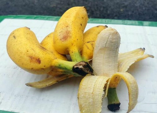 香蕉皮能直接吃吗