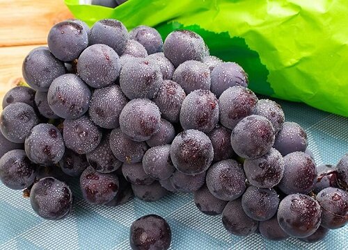 葡萄成熟季节是几月份 成熟后口感味道如何
