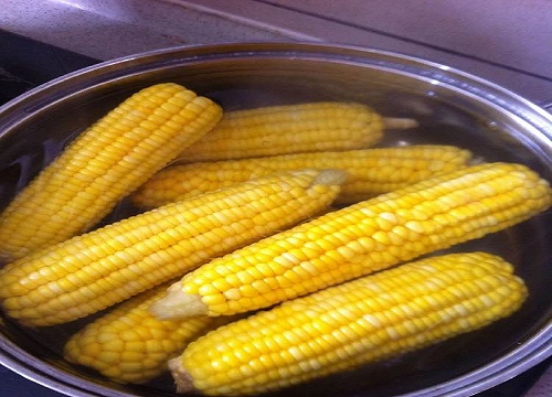 玉米是热性还是凉性