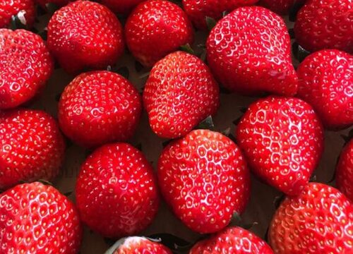 草莓(4)