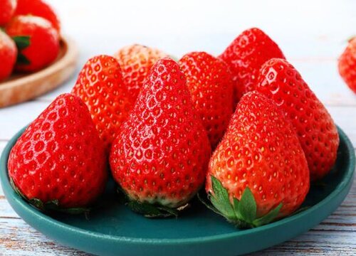草莓的种植方法