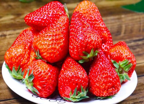 九九草莓为什么只有丹东有（正宗好吃的丹东99草莓产地）