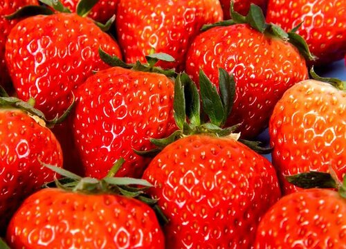 哪个品种草莓最甜 草莓哪个品种最好而且又大又甜