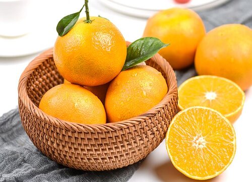 橙子是什么季节成熟的