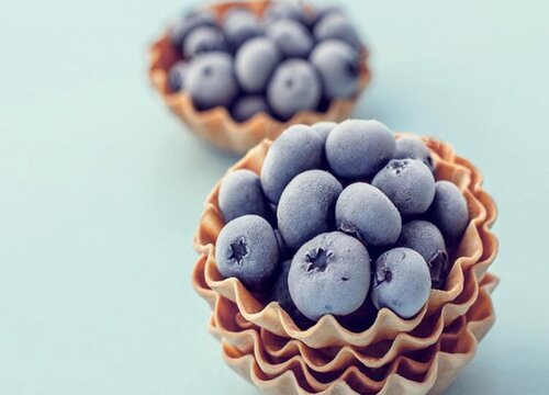 蓝莓(31)