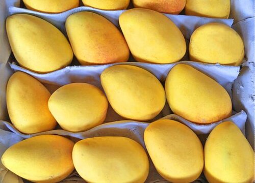 一天吃芒果最多能吃多少个 正常人一天吃几个芒果合适