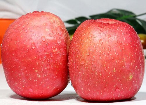 陕西苹果几月份成熟上市 陕西哪里的苹果有名好吃