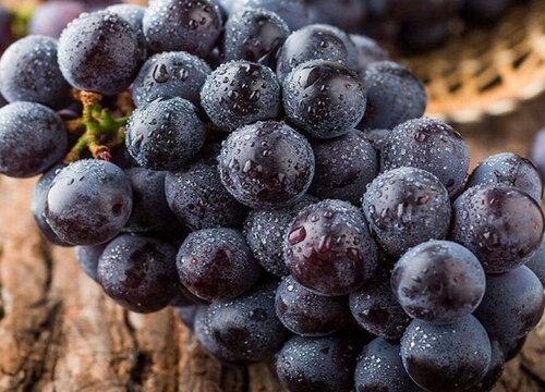 蓝莓葡萄和夏黑葡萄的区别