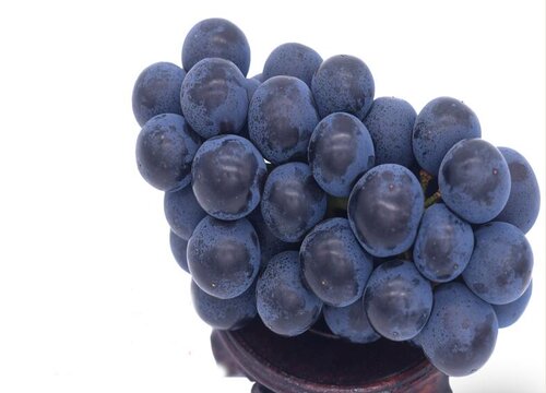 中国最高端葡萄品种排名  名贵葡萄品种