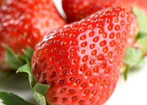 丹东99草莓每年几月份有（丹东九九上市时间与季节）