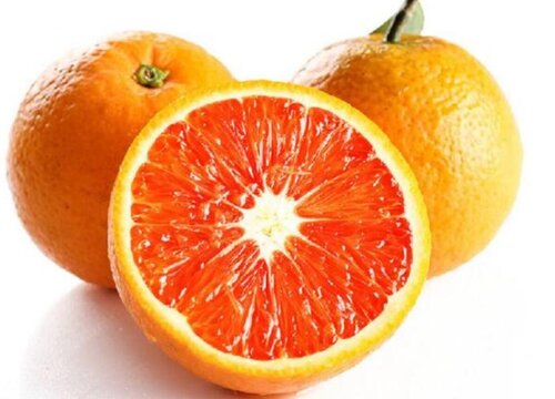 廉江红橙什么时候成熟季节 廉江红橙采摘上市时间