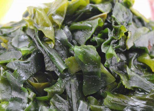 螺旋藻是裙带菜吗 是一种东西吗