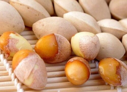 银杏果的功效与作用及食用方法 银杏果的用处和吃法