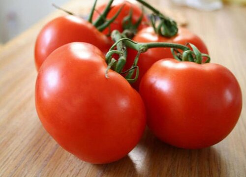 番茄什么季节成熟 成熟期是几月份