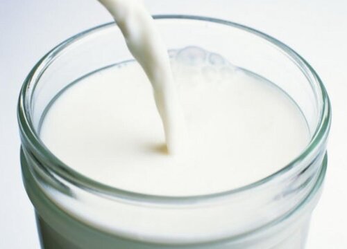 过期牛奶可以直接浇花吗 如何利用过期牛奶浇花