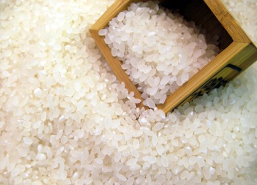 粳米和大米的区别是什么（粳米和普通大米对比哪个好吃）