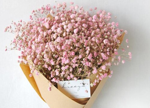 情人节送什么花 送情人鲜花用什么花最好