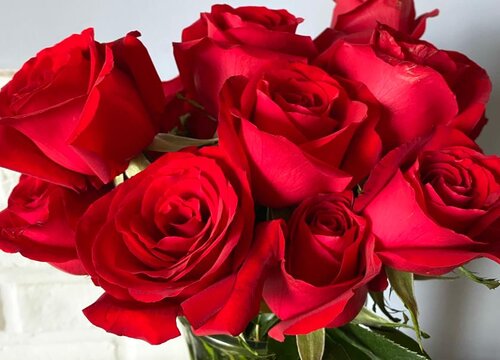 20朵红玫瑰代表什么花语