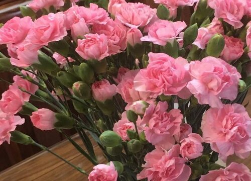 父母结婚纪念日送什么花比较好父母结婚周年送鲜花来祝福 植物说