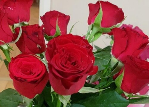 订婚玫瑰花几朵比较合适（订婚花束用33朵什么意思）
