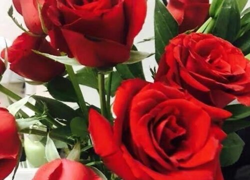 66朵玫瑰的花语是什么意思 男人送女人66朵花代表含义