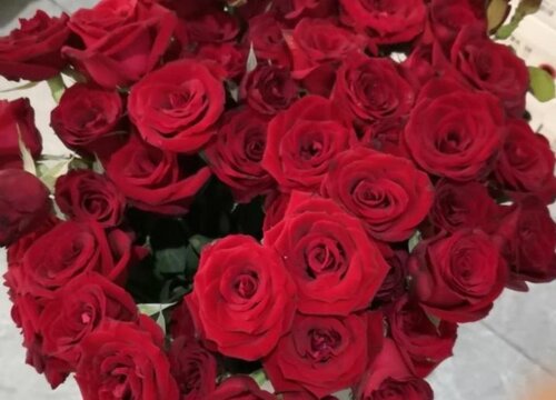 34朵玫瑰花的花语是什么意思 代表的含义（全解）