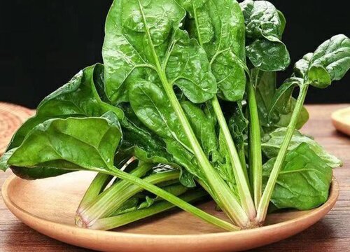 叶菜类蔬菜有哪些 常见的绿色叶菜类蔬菜大全（图片）