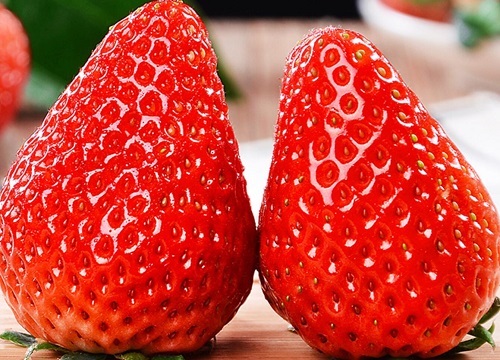 草莓什么时候种